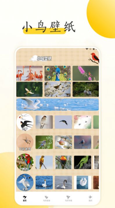 小鸟壁纸大全app[图3]