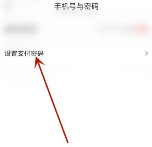 飞书怎么设置支付密码图片6