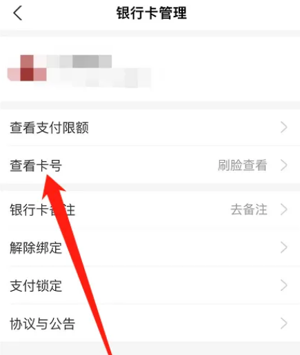 支付宝怎么查看完整银行卡卡号图片5