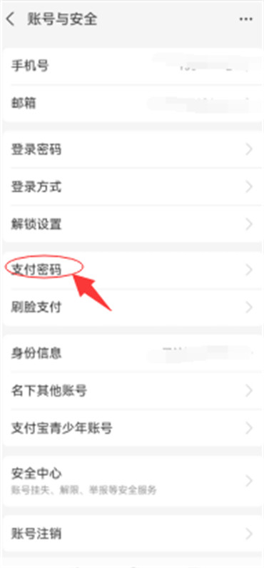 支付宝怎么找回忘记的支付密码图片5