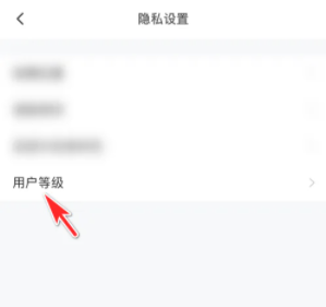 皮皮陪玩怎么显示徽章图片2