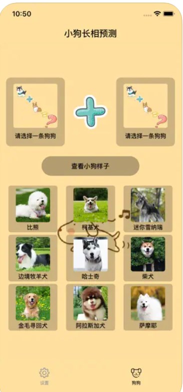 刷刷狗狗繁殖小狗长相预测助手app[图1]