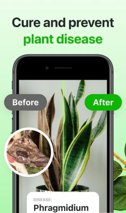 Floraeapp[图2]