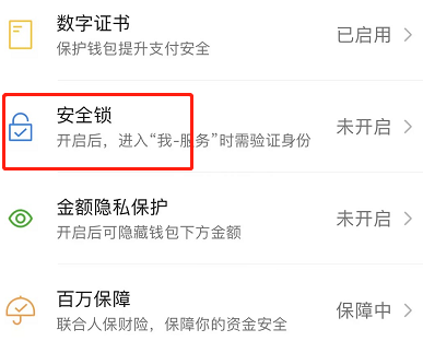 微信钱包密码锁怎么设置图片3