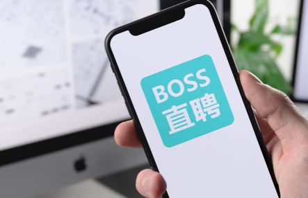 BOSS直聘怎么导出个人信息图片1