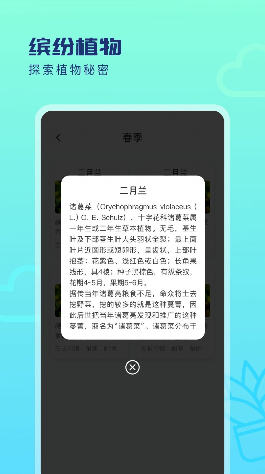 缤纷四季app图片2