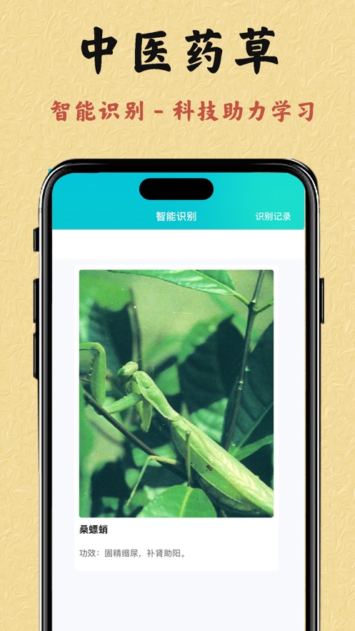 中医药草app图片1