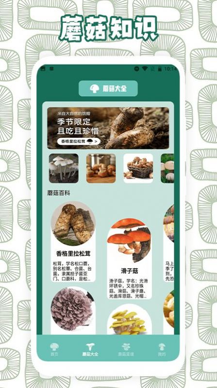 蘑菇识别助手app[图3]