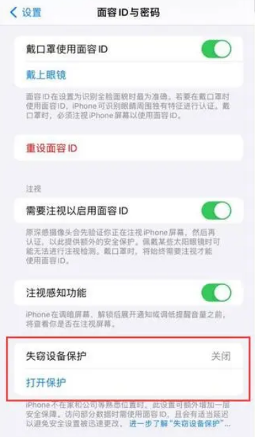 苹果手机怎么设置失窃设备保护图片4