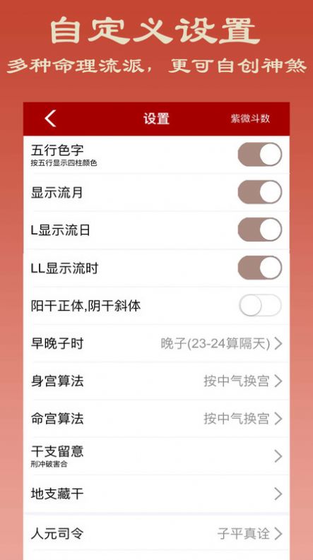 大师紫微斗数app图片1