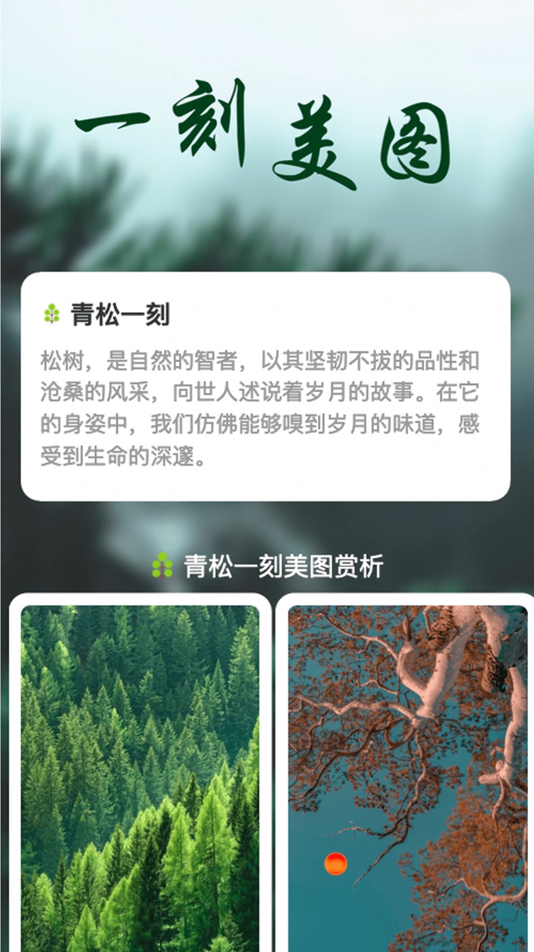 青松一刻app[图3]