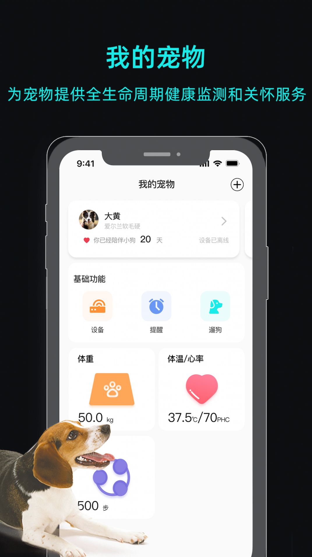 一聪小白app图片1