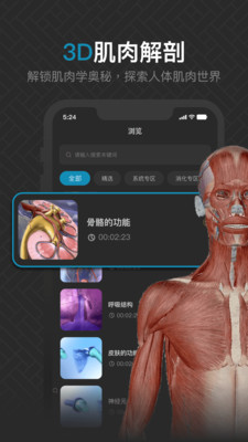 3D肌肉解剖软件[图3]