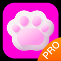 斑克猫语翻译proapp