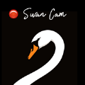 SwanCamapp