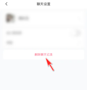 皮皮陪玩怎么删除聊天记录图片2