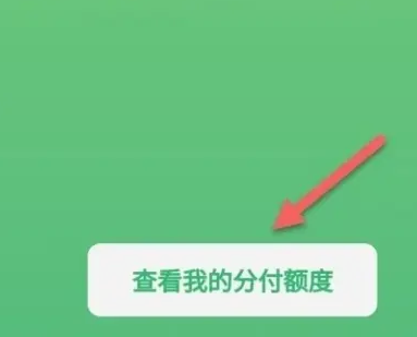 微信在哪查看分付额度图片5