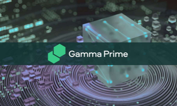 Gamma Prime：将实际收益策略标记化图片1