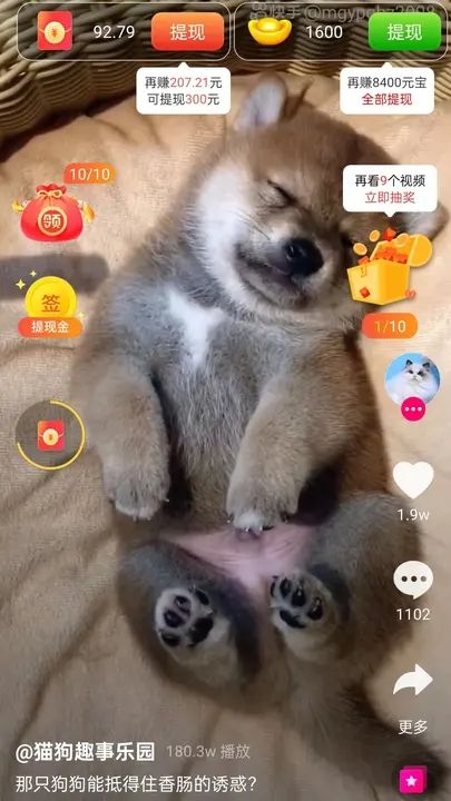 斑点狗app[图3]