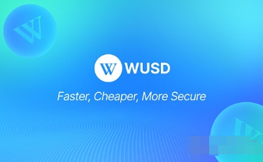 WUSD —— 触手可及的稳定币 开启数字金融新世界图片1