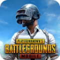 PUBG奇幻大乱斗模式app