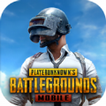 pubg水原千鹤美化包app