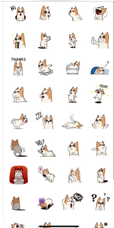 PupExpressionsFunapp[图1]