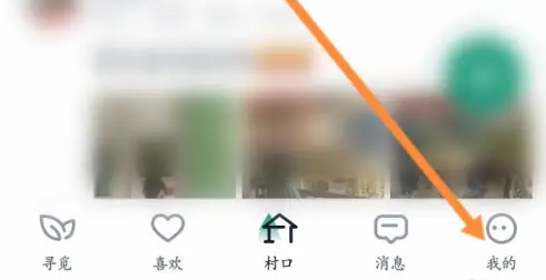 青藤之恋怎么修改学历图片2