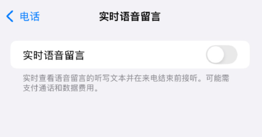 苹果手机怎么设置实时语音留言图片3